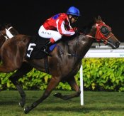 Bring More Money<br>Photo by Singapore Turf Club